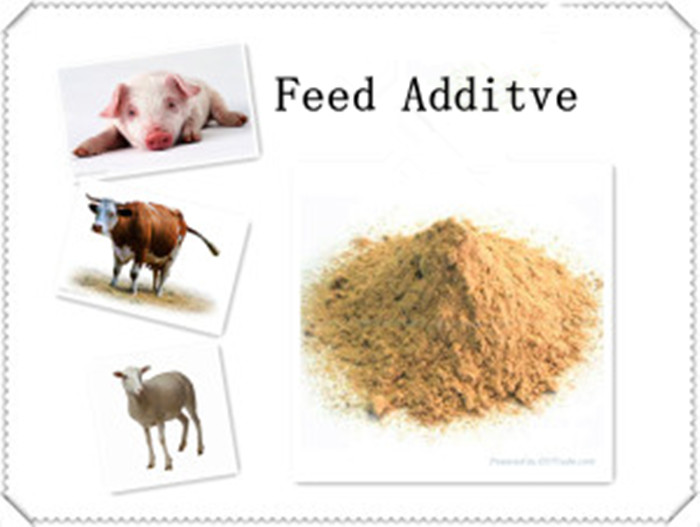 Nutricorn-98-5-L-Lysine-Feed-Additive-with-High-Quality.jpg